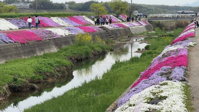 兵庫県稲見町 草谷川の芝桜
