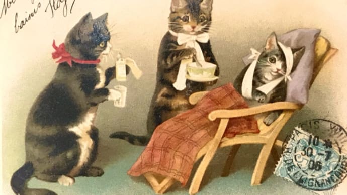 猫の日なので…