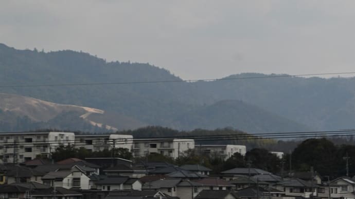月ヶ瀬、梅林公園と斎藤拙堂・頼山陽の詩碑