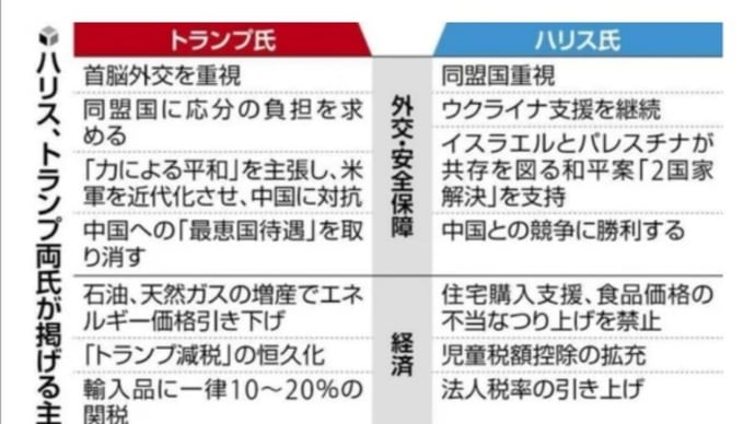 予想外か？想定内か？それとも､ショボ過ぎた泥試合か？〜2024年のアメリカ大統領選挙