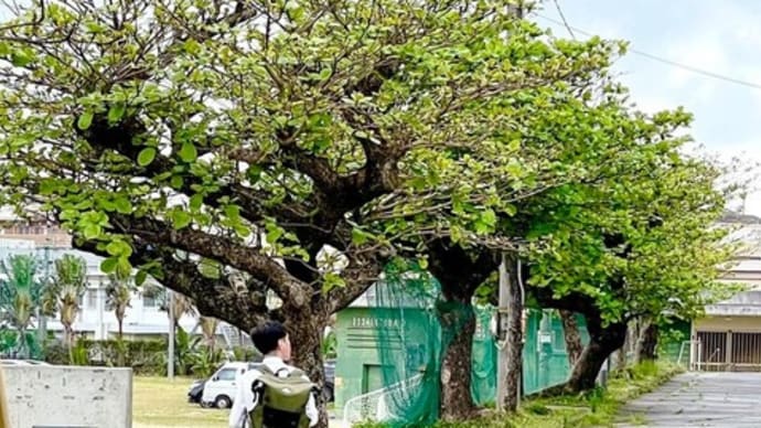 自分の「呪い」を解くための100のメモ　㉙