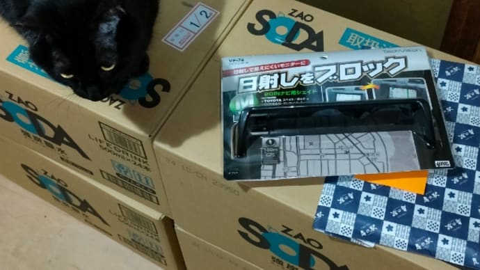 いつ以来?のサイゼリヤ