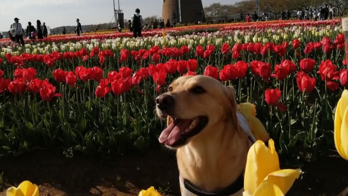 4月16日(水)