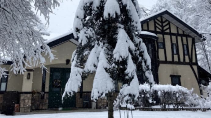 雪が降りました。