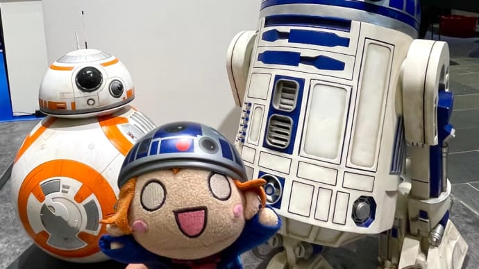 MAY THE 4th BE WITH YOU.