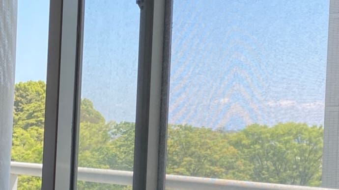 お腹が空いたよ〜 元気になってきたからよね