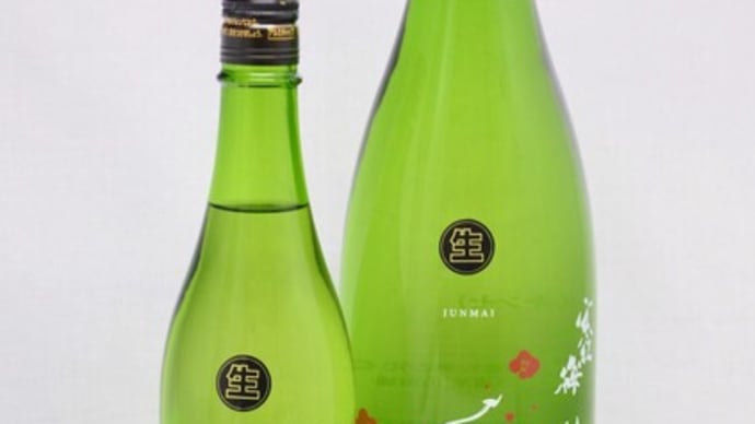 寒紅梅入荷中です!