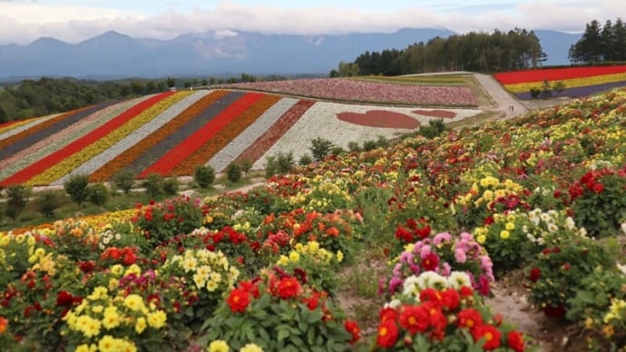 北海道ガーデン街道を行く その2(紫竹ガーデン・六花の森・四季彩の丘)