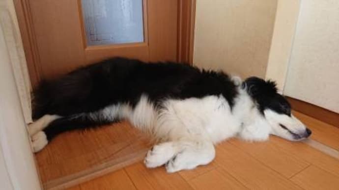 大腸炎になってしまった