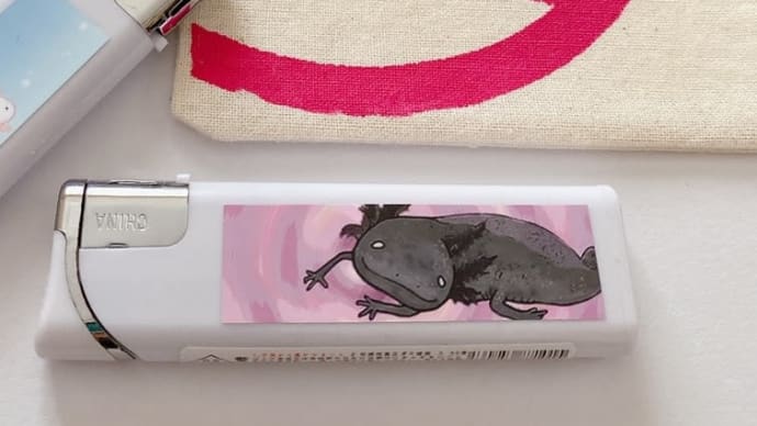 ぺた次へ+ミナミイボイモリの幼生が来ました