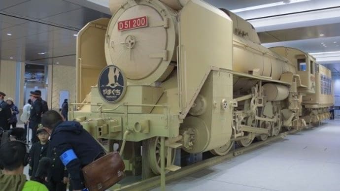 ベージュ色のD51
