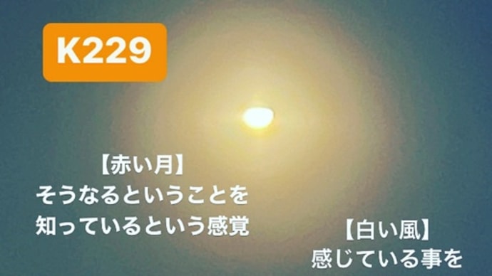 〜マヤ暦 K230 白い犬・白い風・音9〜 「白い犬」ののりぃさんに会えた「白い犬」