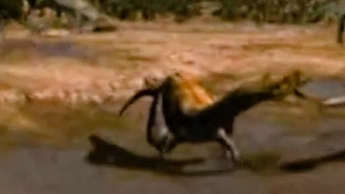 今見直す、恐竜ドキュメンタリー 『発見!恐竜の墓場』(3上)〜異端だらけの鳥モドキ