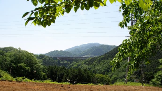 矢の根山稜縦走「藤野駅から大平小屋まで」その１