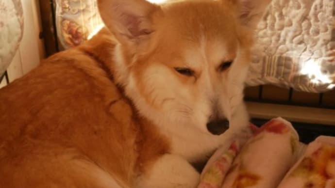 出てきたー！