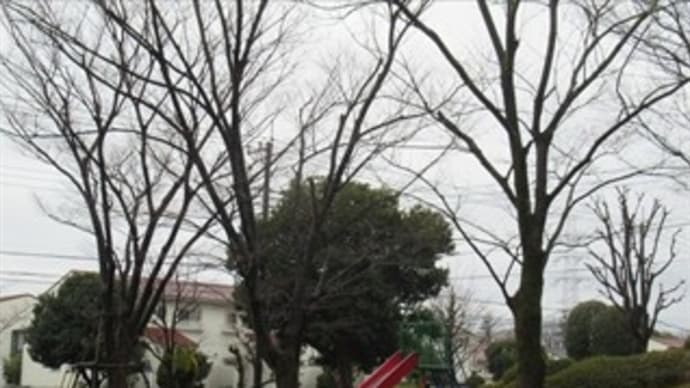 2/20 2年に一度の駐車場抽選会 時事放談(ウクライナ情勢)