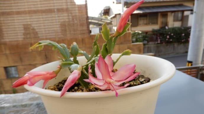 終活