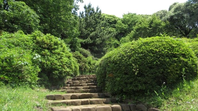 小石川植物園 子どもたちは遊ぶ