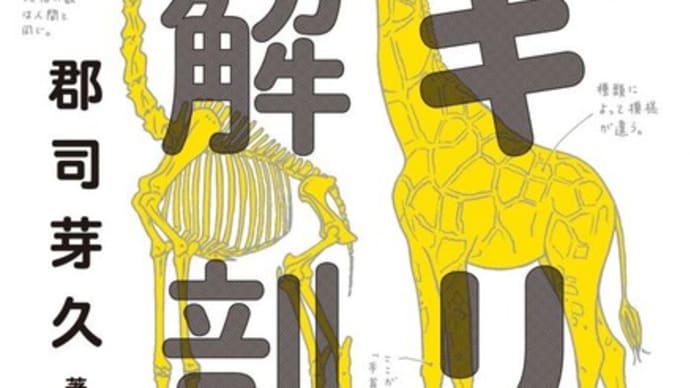 キリン解剖記
