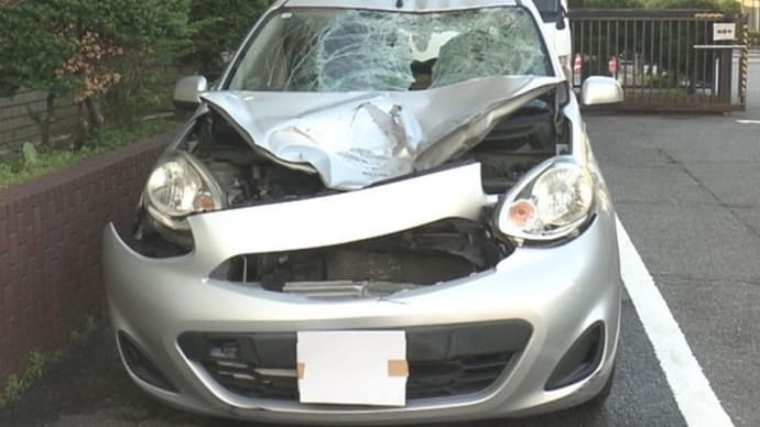 愛知で真夜中に、歩道が有る道路で態とらしく車道をほっつき歩いてやがった馬鹿が小型乗用車に打つかり、自業自得でくたばる
