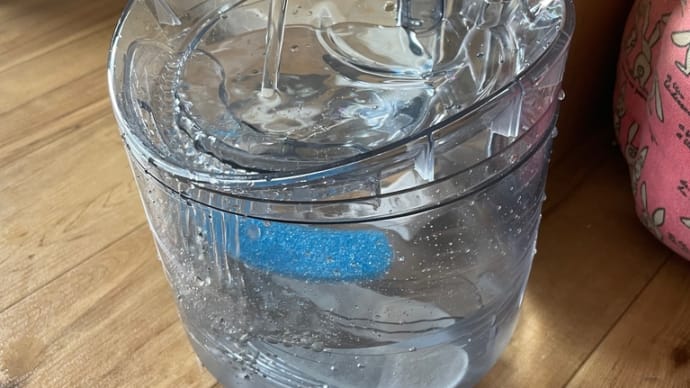我が家の愛犬達に新しい水飲みを購入‧✧̣̇‧‧✧̣̇‧‧✧̣̇‧