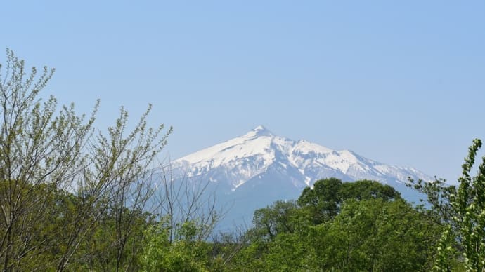 川原の風景と植物