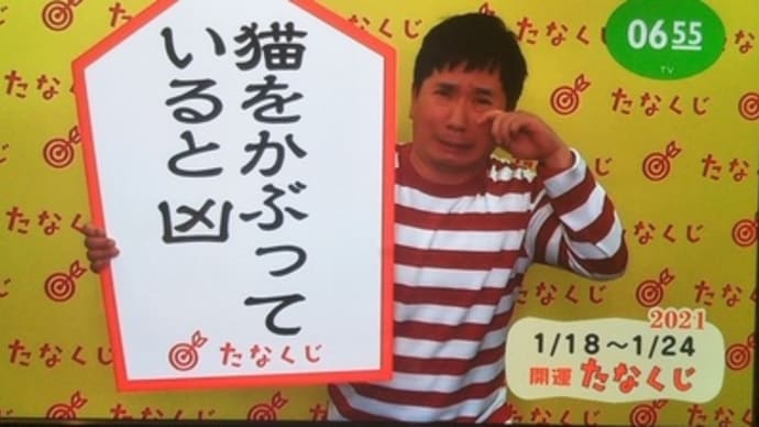 今週のmyたなくじと・・・