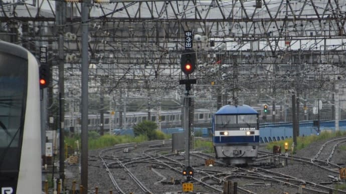 EF210-344　(1791レ)【鶴見駅脇：東海道貨物線】　2022.9.2  