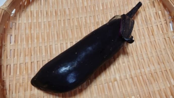 なすも混ぜご飯になります