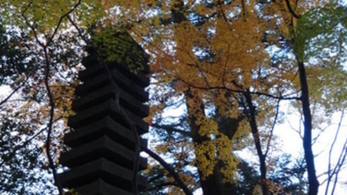 滝口寺の紅葉　＠　京都妖怪探訪（３１９）