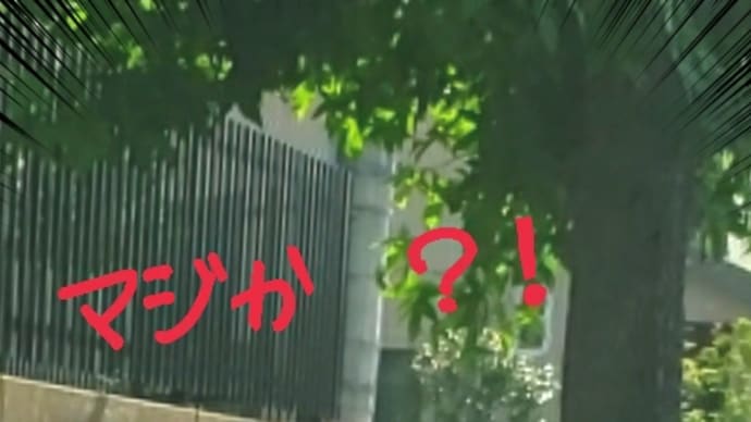 間違った裸の出勤?