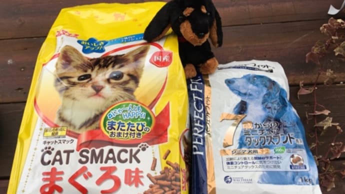 キャットフード購入 飼い方4通り