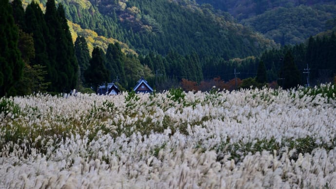 おにゅう峠からの帰り (針畑川沿いの風景)