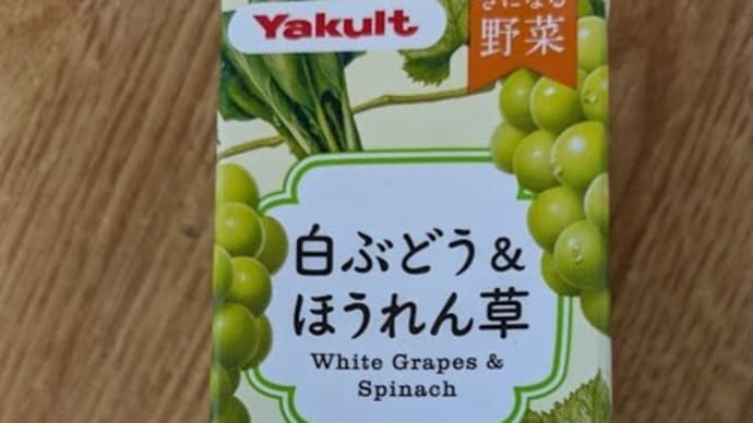 今日もまた冬の嵐