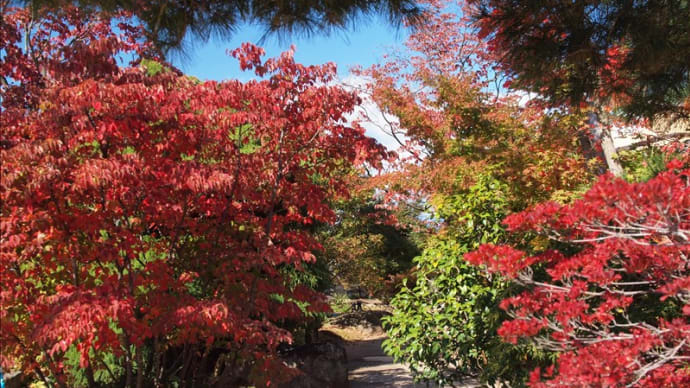 長野、小布施の秋、素晴らしい紅葉