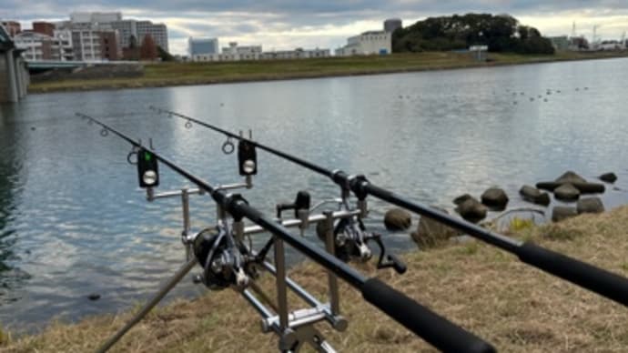 12月29日の鯉釣り