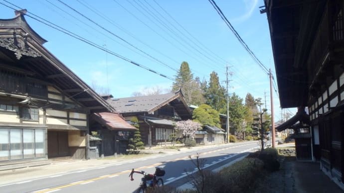 上伊那の六道堤の桜他をお花見へ
