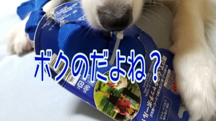 おもちゃ～4ヶ月使用後