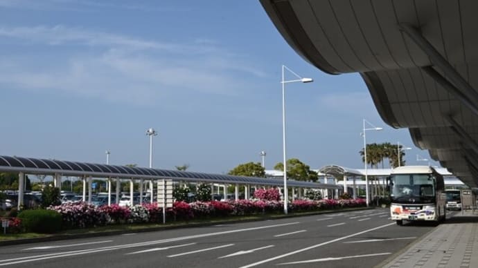 バラの山口宇部空港