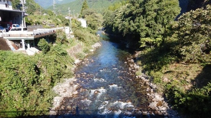 終盤の鮎をホーム河川で狙ってみた! 2024.10.01
