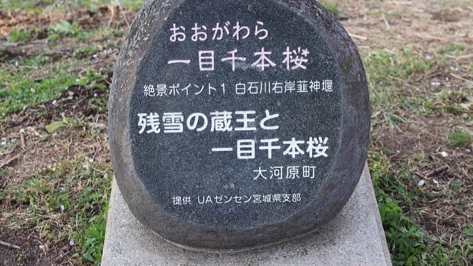 一目千本 白石川 (宮城県) 桜前線北上の旅 蔵王 船岡城址 豆坂温泉 宮城~岩手~山形