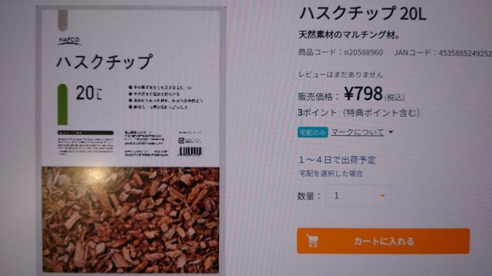 抗がん剤治療入院 その3退院