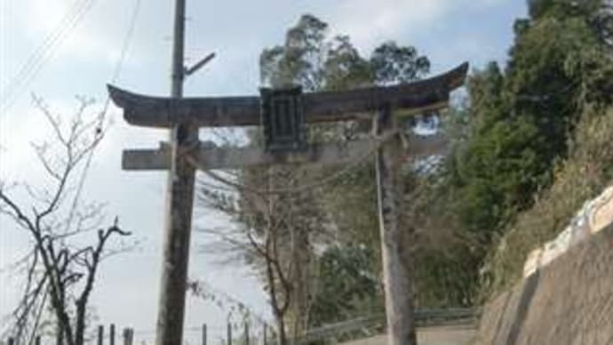 金毘羅神社 in 兵庫県豊岡市野上尾崎