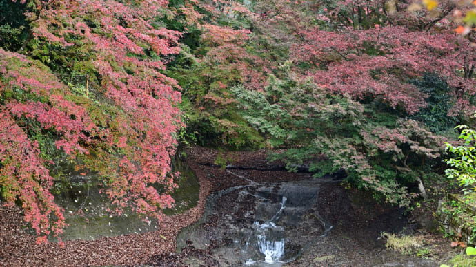 ◆くらもち滝の里(長南町)の紅葉。