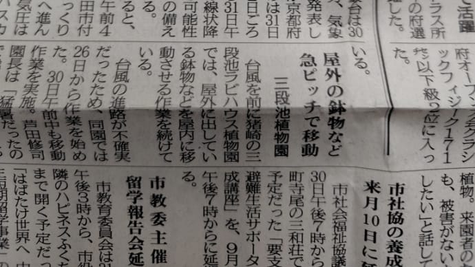 延びに延びて・・・明日は土曜日診の通常診療の予定です