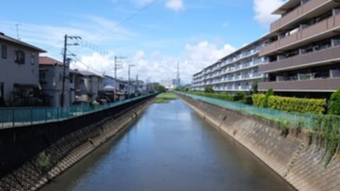 2024神奈川河川ポタリング『千ノ川』②「千ノ川橋」~「飯島橋」