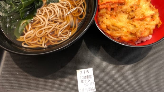 【大井町】富士そば　ミニかき揚げ丼セット
