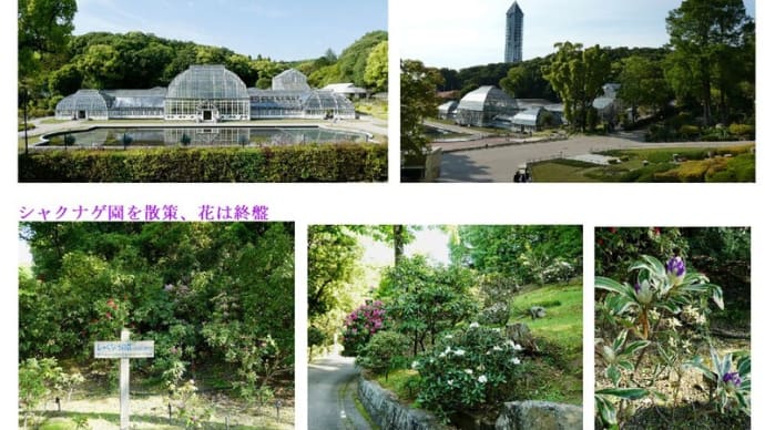 初夏の植物園は・・・ - 2024.5上 -