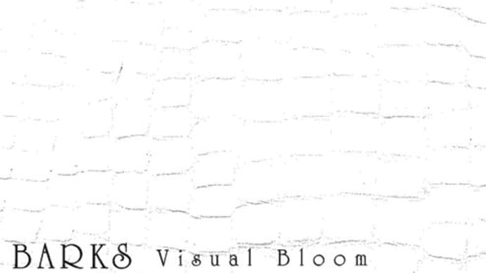 ◆BARKS◆Visual Bloom◆新鋭気鋭のＶ系11組が集結！