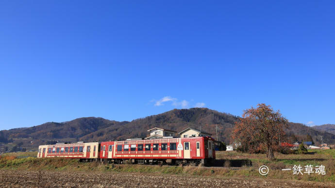 青い空と柿の木と「おいこっと」